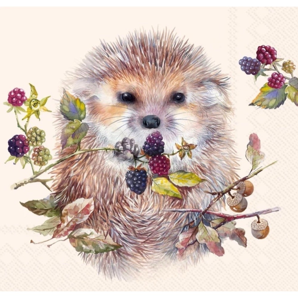 IHR - Hedgehog Paper Napkins (3-Ply) -‎ 100 Ct Party Tableware